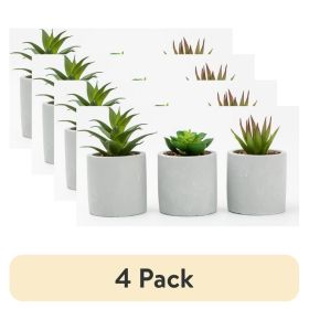 (4 pack) 3-Piece Succulent Set in Gray Cement Planters