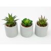 (4 pack) 3-Piece Succulent Set in Gray Cement Planters