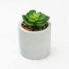 (4 pack) 3-Piece Succulent Set in Gray Cement Planters