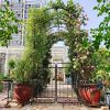 Metal Garden Arch with Gate 79.5'' Wide x 86.6'' High Climbing Plants Support Rose Arch Outdoor