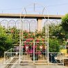 Metal Garden Arch with Gate 79.5'' Wide x 86.6'' High Climbing Plants Support Rose Arch Outdoor
